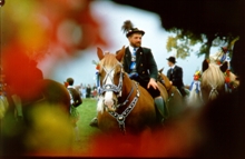 Reiten im Allg&auml;u